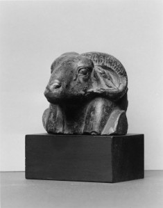 Head of Ram