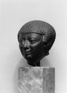 Head of a Man
