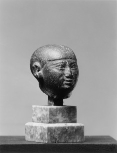 Male Head