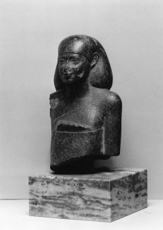 Male Head and Bust