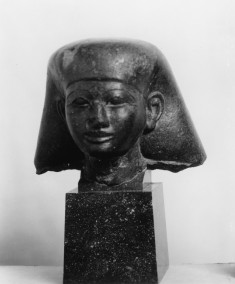 Head of a Man