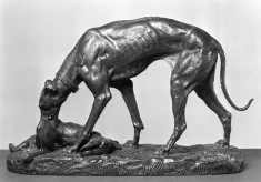 Greyhound Retrieving a Hare