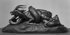 Python Killing a Gazelle