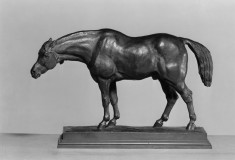 Horse with Head Lowered