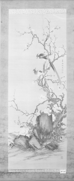 Flycatchers on a Flowering Prunus
