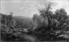 A Stream in the Adirondacks