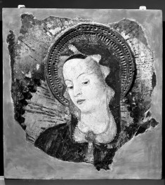 Head of the Madonna, a Fragment