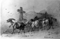 Herd of Goats