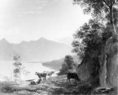 Cattle by a Mountain Lake