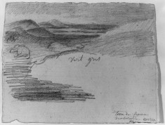 Landscape with Dead Elephant
