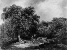 Landscape, the Forest Road