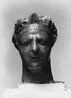 Male Head with Laurel Leaf