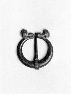 Fibula