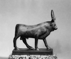 Apis Bull with Sun Disk