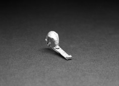 Leech Fibula