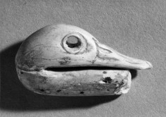 Duck head