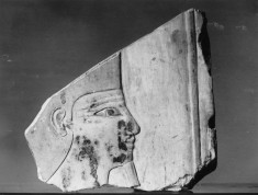 Head of Amun (?)