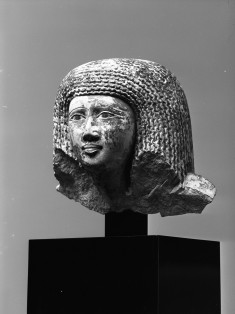 Male Head