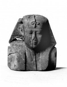 Royal Bust
