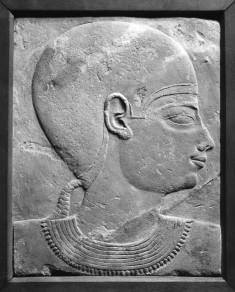 Model Head
