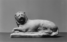 Model of a Lion