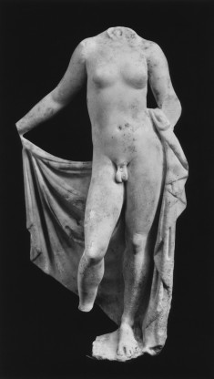 Hermophroditus