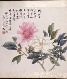 Peonies