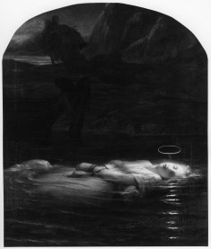 The Christian Martyr
