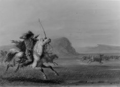 Hunting Elk