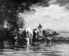 A Watering Place