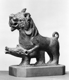 Lion Attacking a Boar