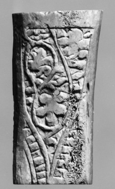 Vine Motif