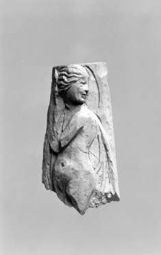 Female Figure