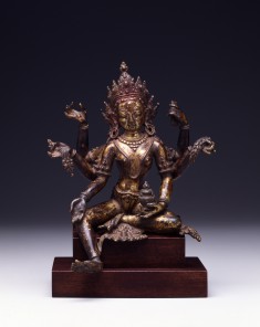 Vasudhara
