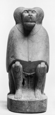 Baboon Mummy Coffin