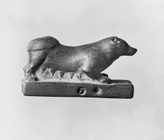Toy Dog