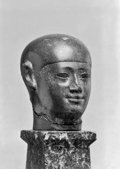 Head of a Man