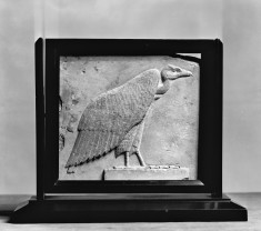 Sculptor's Model of a Vulture Hieroglyph