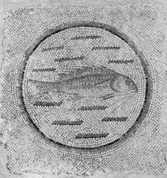 Floor Mosaic Fragment with Fish in a Roundel