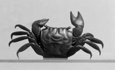 Small Crab Box