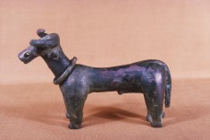 Sacred Bull
