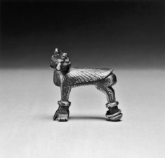 Griffin Fibula