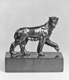 Female Panther
