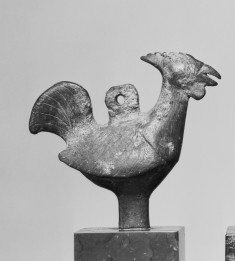 Cock