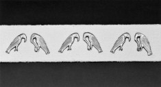 Clothing Ornaments Depicting Black Sea Eagles