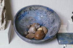Desiccated Fruits and Nuts