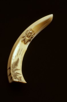Netsuke of a Tusk with Spider and Poem