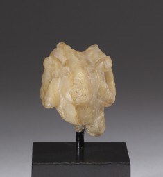 Head of a Ram