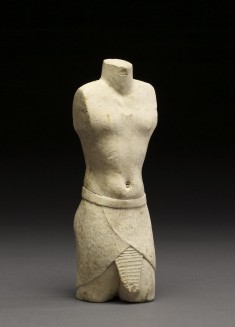 Model Torso
