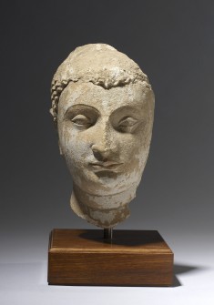 Head of the Buddha